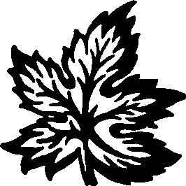 105/105210030001040_1.png