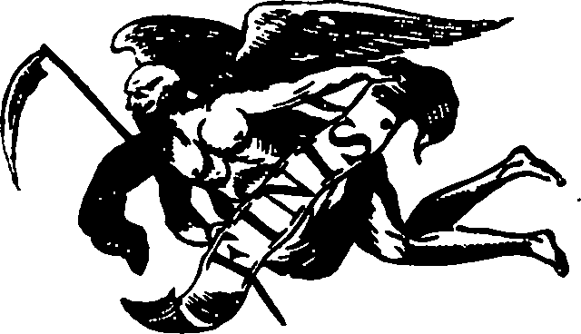 105/105210030001070_1.png