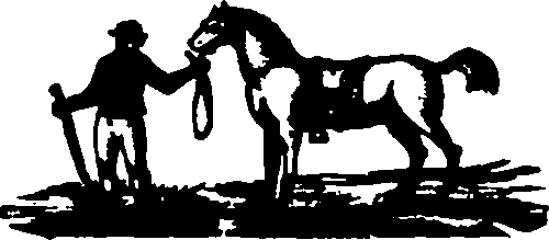 105/105210030001260_2.png