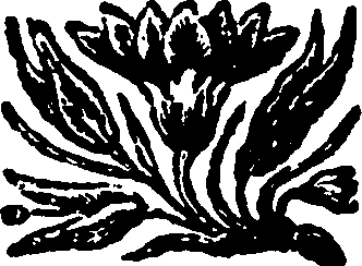 105/105230010002290_0.png