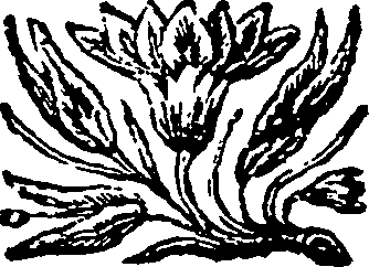 105/105230010002590_0.png
