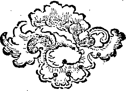 105/105250020003770_0.png