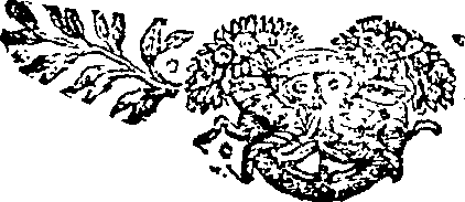 105/105250040000290_0.png