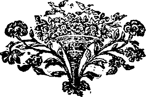 105/105250040003810_0.png