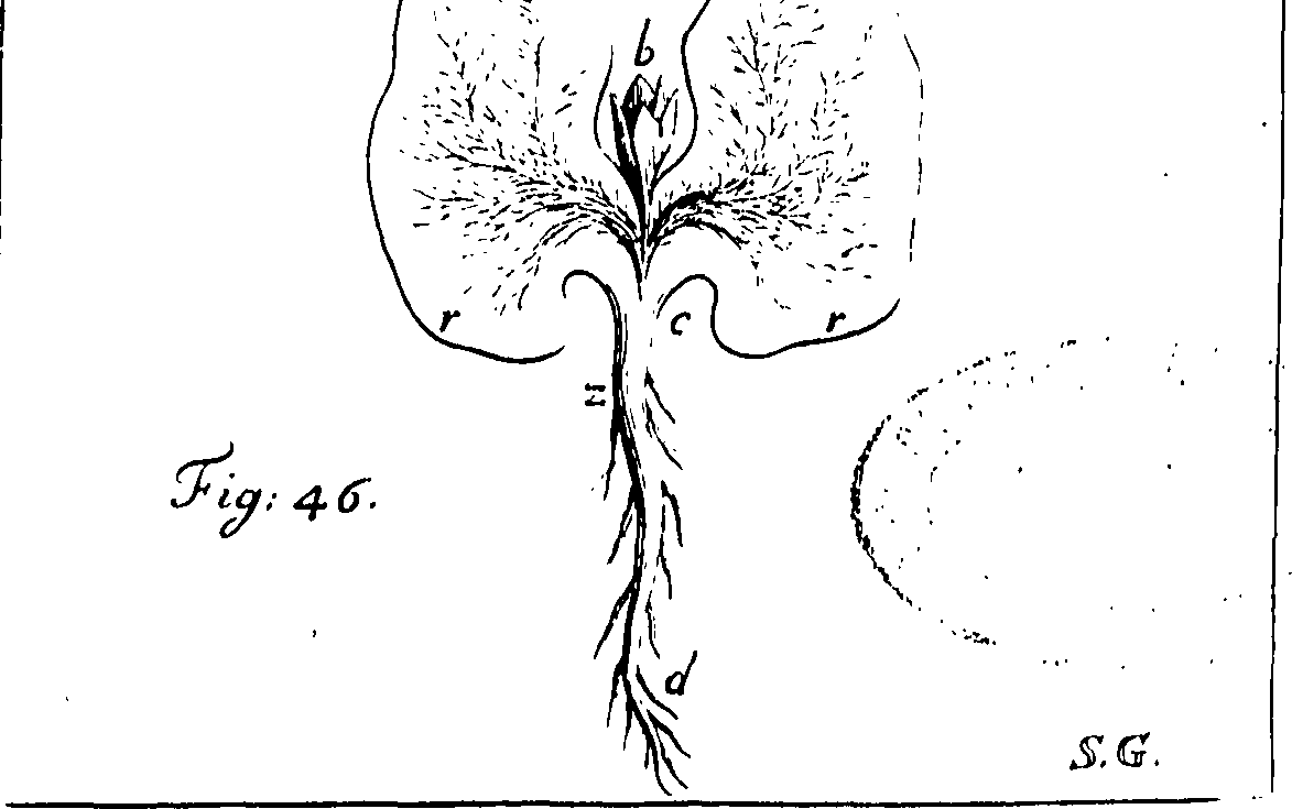 105/105280020103850_0.png