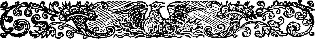 105/105380020103620_0.png