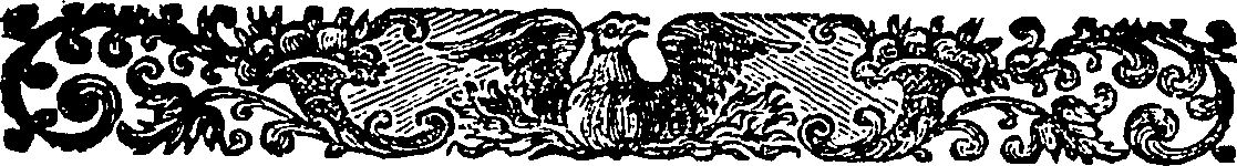 105/105380020203660_1.png