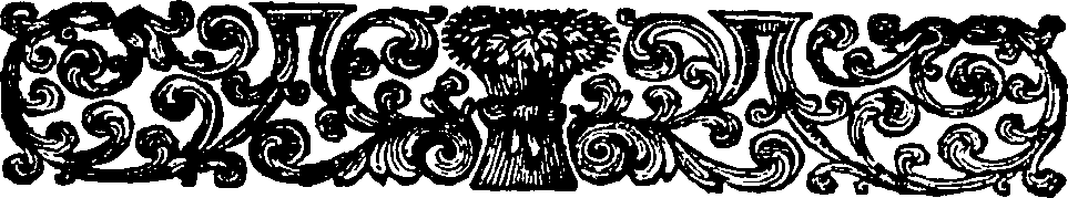 105/105380020203680_1.png