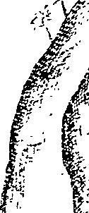 105/105400020000120_0.png