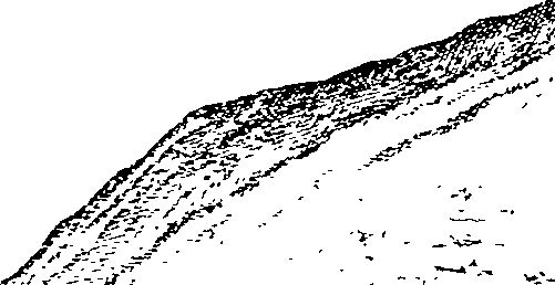 105/105400020000130_2.png