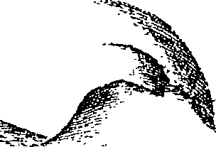 105/105400020000200_1.png