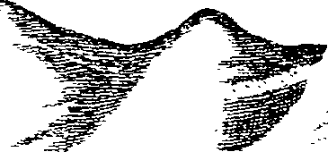 105/105400020000270_1.png