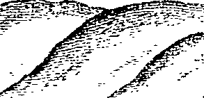 105/105400020000290_0.png