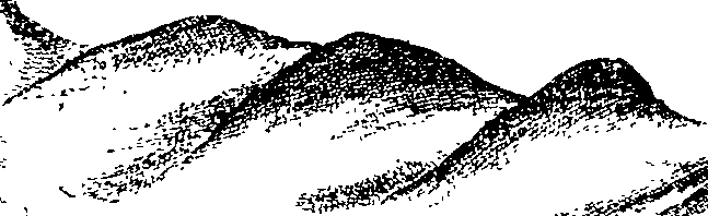105/105400020000300_1.png