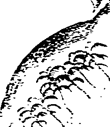105/105400020000320_0.png