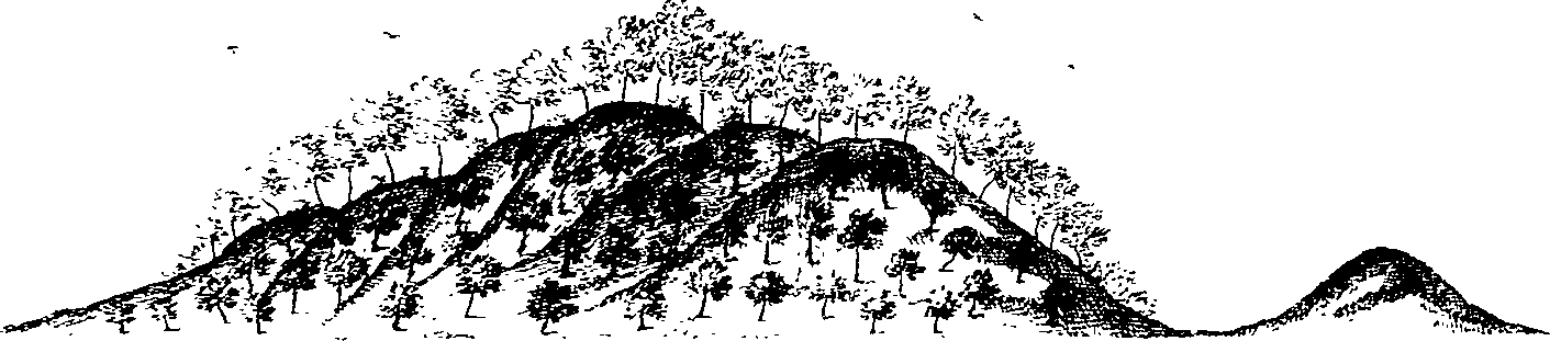 105/105400020000350_0.png