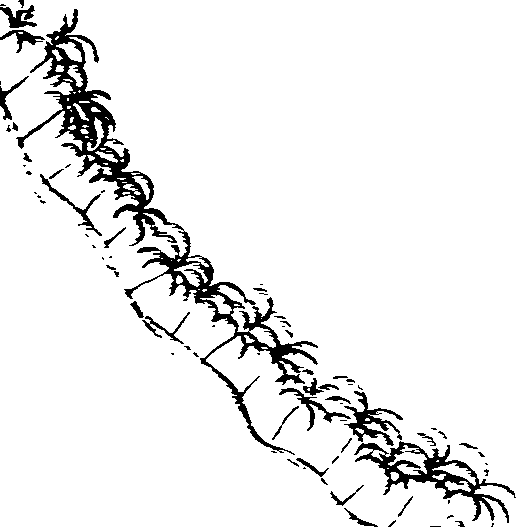 105/105400020000430_2.png