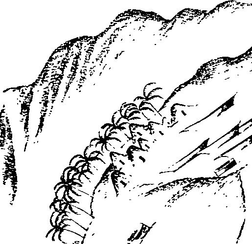 105/105400020000430_3.png