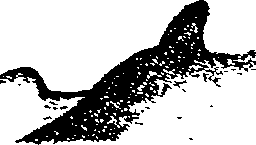 105/105400020000440_1.png