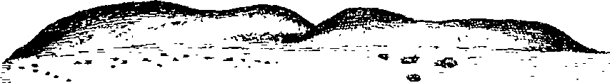 105/105400020000460_1.png