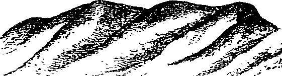 105/105400020000490_1.png