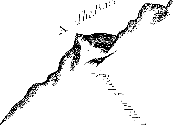 105/105400020000590_1.png
