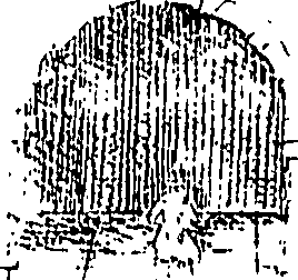 105/105410010105630_0.png