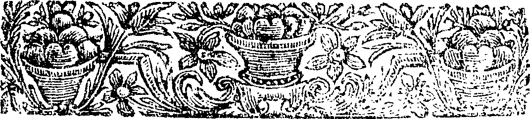105/105480380000020_1.png