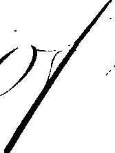 105/105500100000050_2.png