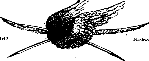 105/105540140000010_0.png