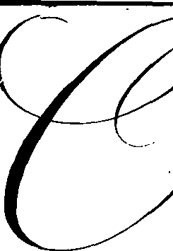 105/105540150000010_12.png