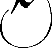 105/105540170000080_0.png