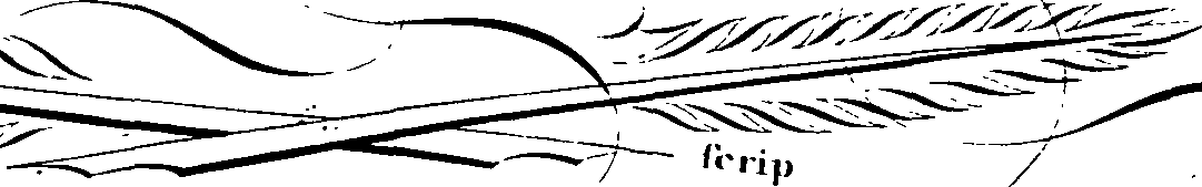105/105540180000070_0.png