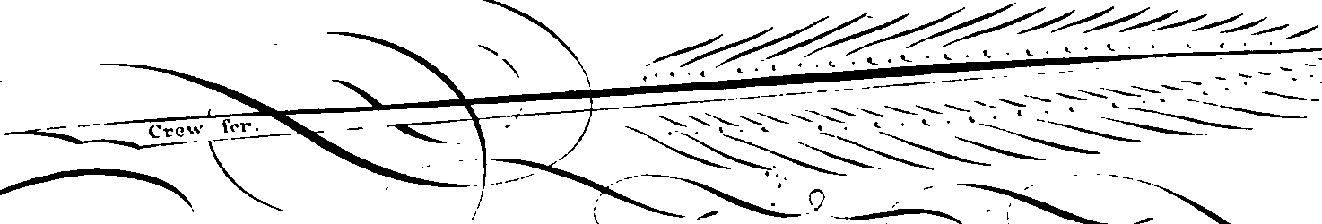 105/105540190000230_0.png