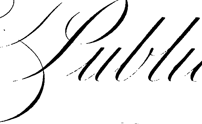 105/105540190000230_1.png