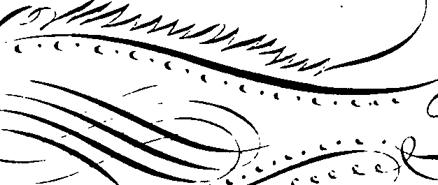 105/105540190000230_2.png