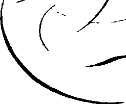 105/105540190000230_4.png