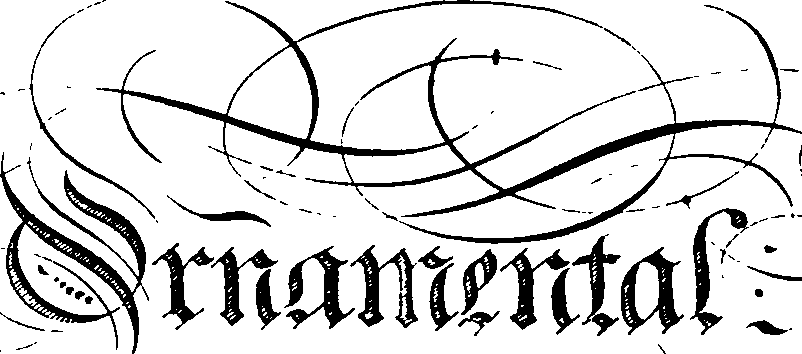105/105540190000230_5.png
