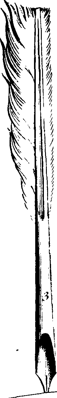 105/105540210000100_2.png