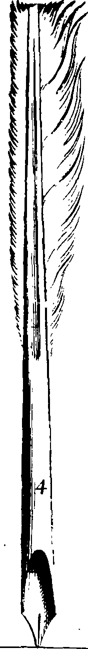 105/105540210000100_3.png