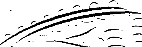 105/105540210000330_1.png