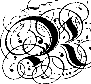 105/105540210000370_1.png