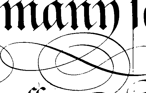 105/105540210000380_1.png