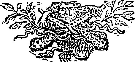 105/105590020000010_0.png
