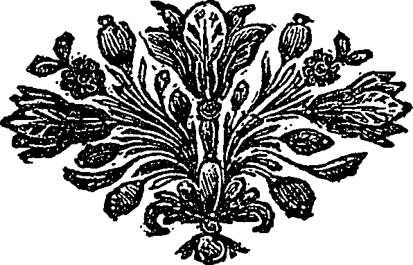 105/105590050101240_0.png