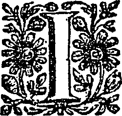 105/105590050102790_0.png