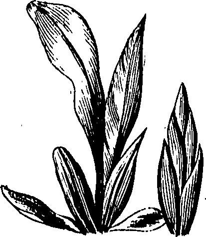 105/105690030000350_0.png