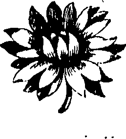105/105690030000620_0.png