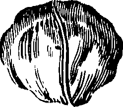 105/105690030000650_0.png