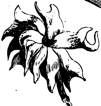 105/105690030000650_1.png